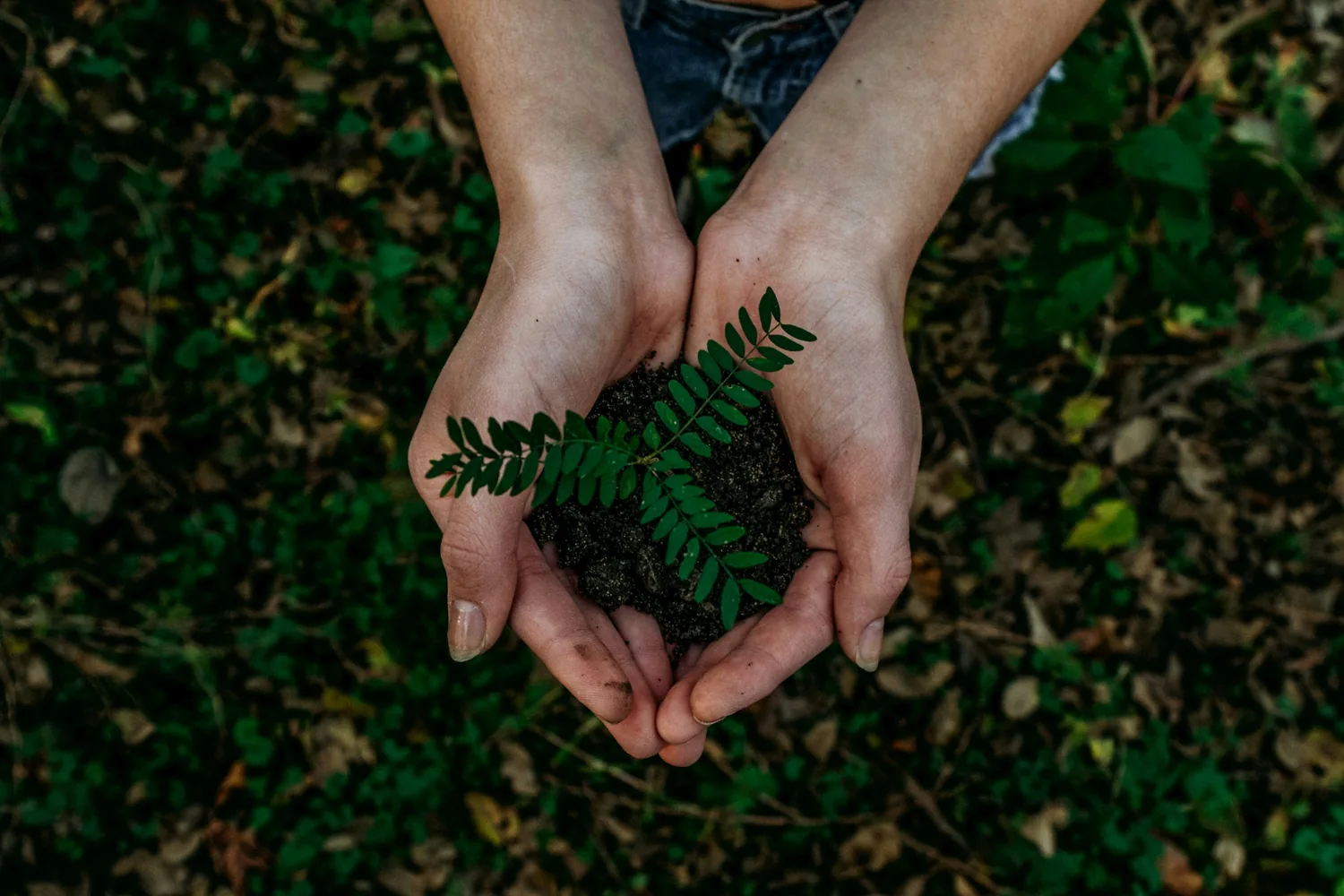 Illustrative environmental management photography
